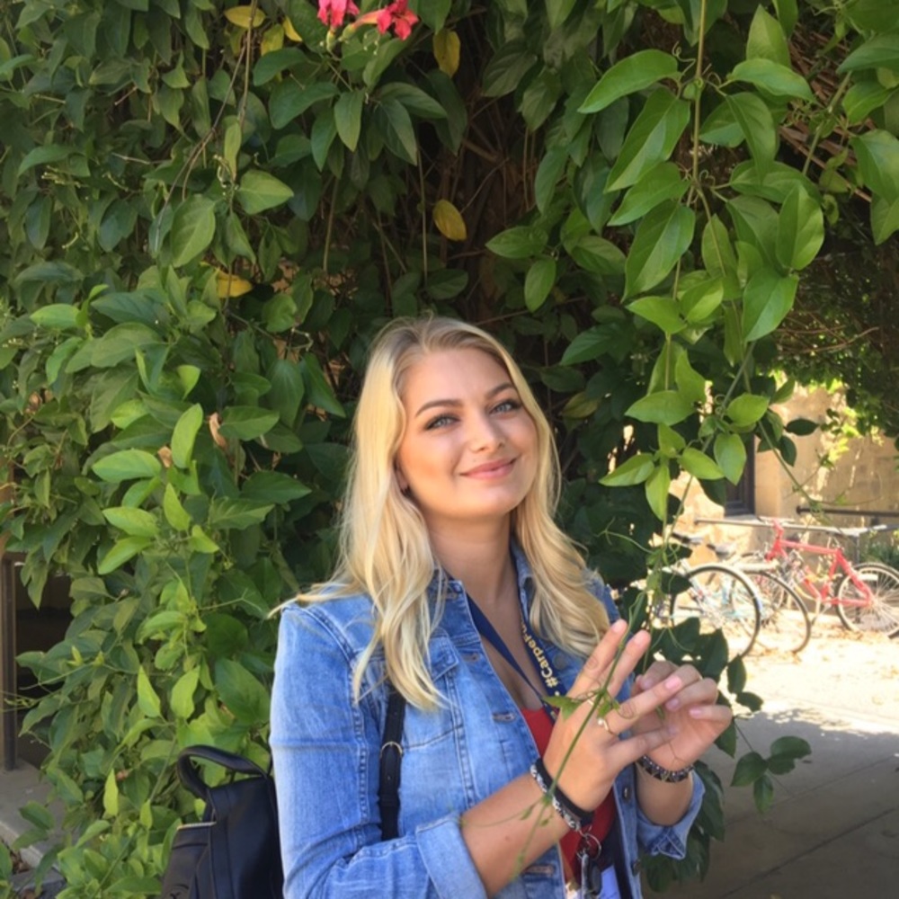 Meet your Posher, Alex